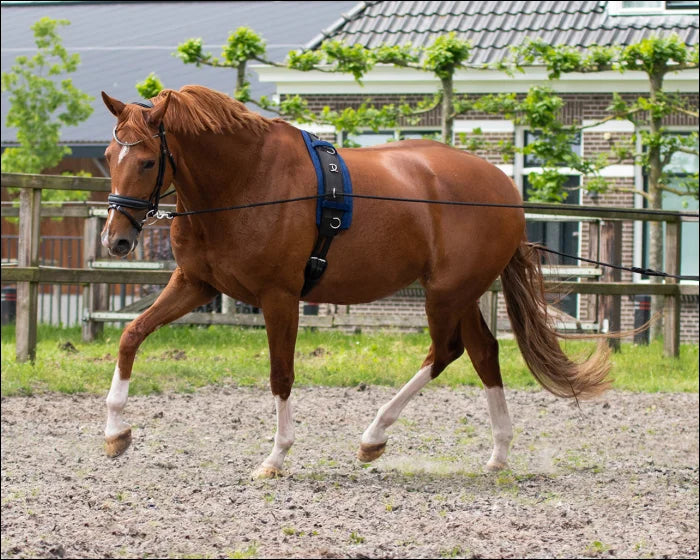 QHP Lunging Reins Double - Black