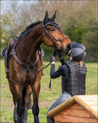 QHP Sedna 5 Point Breastplate