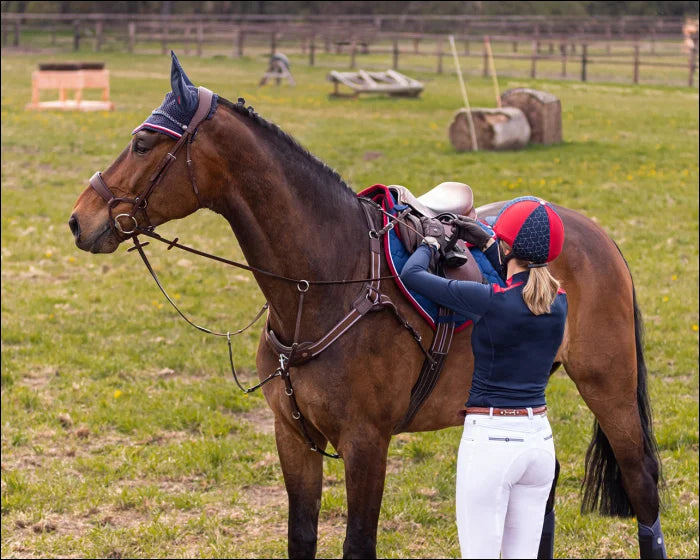 QHP Sedna 5 Point Breastplate