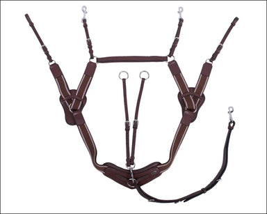 QHP Sedna 5 Point Breastplate