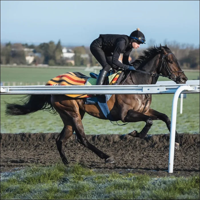 Racesafe Race Motion 2.0 - Black