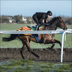 Racesafe Race Motion 2.0 - Black