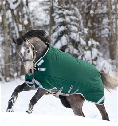 Rambo Original heavy Weight Turnout Rug - 400G Green/Silver