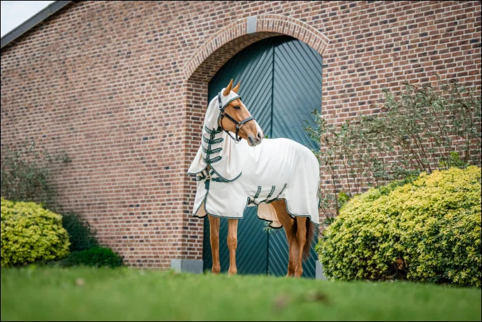 Rambo Pony Hoody Chalk/Hunter Green & Silver