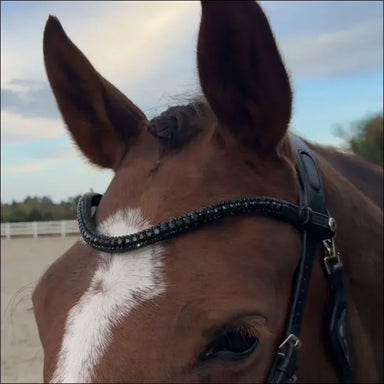 SandStorm Leather Diamante Brow Band