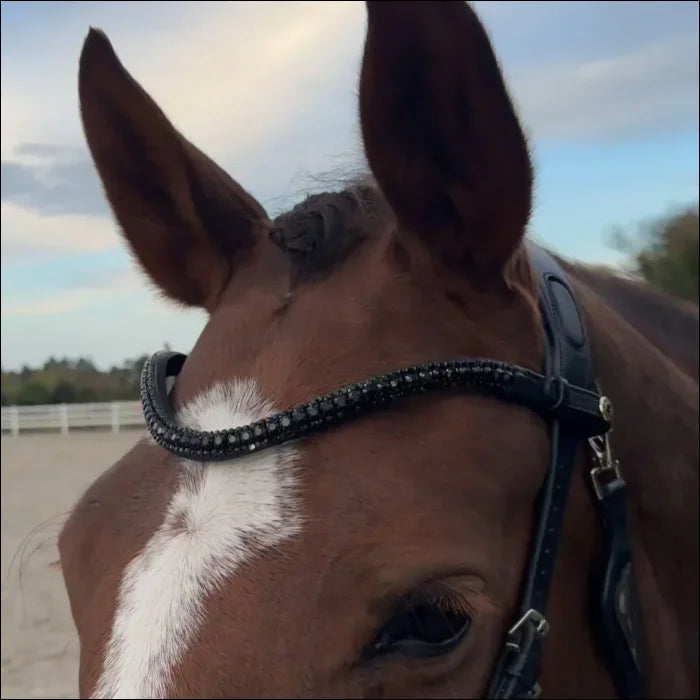 SandStorm Leather Diamante Brow Band