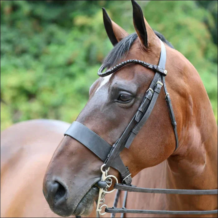 Sandstorm QuickSwitch Leather Diamante Brow Band