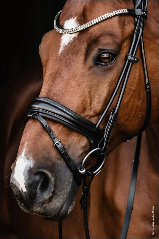 Schockemohle Bridle SP Isabell Werth Johnny Black Full