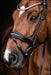 Schockemohle Bridle SP Isabell Werth Johnny Black Full