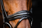 Schockemohle Bridle SP Isabell Werth Johnny Black Full