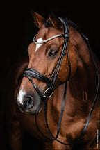 Schockemohle Bridle SP Isabell Werth Johnny Black Full