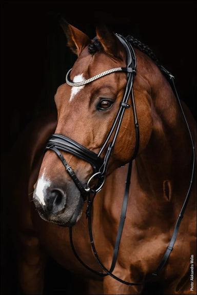 Schockemohle Bridle SP Isabell Werth Johnny Black Full