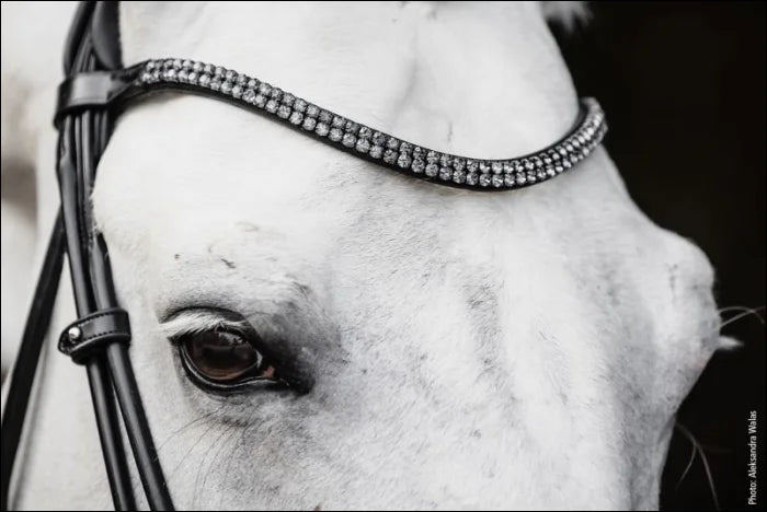 Schockemohle Bridle SP Isabell Werth Satchmo