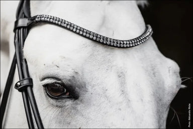 Schockemohle Bridle SP Isabell Werth Satchmo