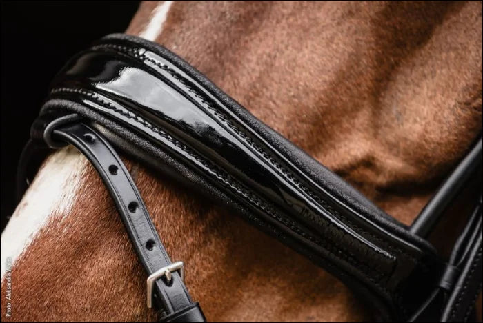 Schockemohle Bridle SP Isabell Werth Satchmo