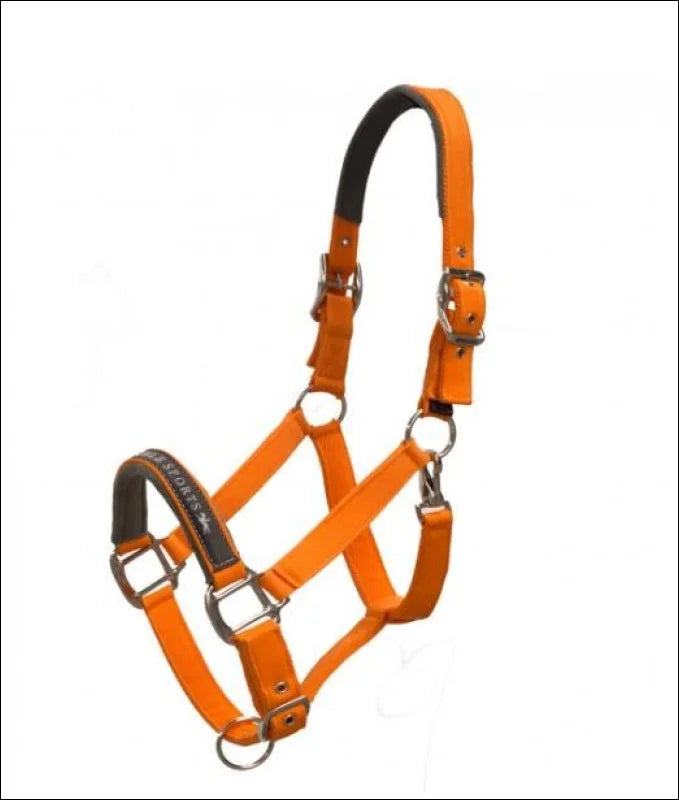 Schockemohle Memphis Headcollar - Pony / Orange