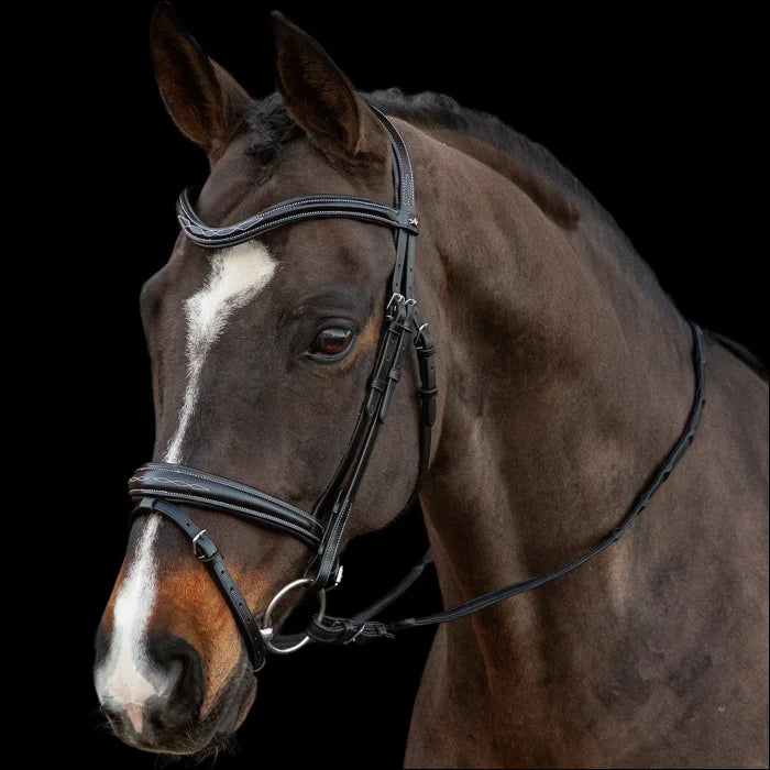 Schockemohle Monza F Bridle