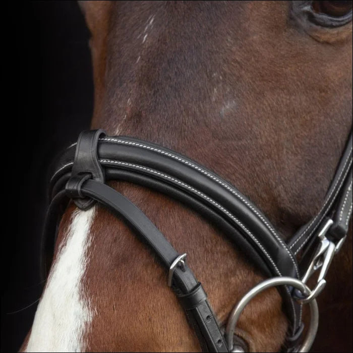 Schockemohle SP Dortmund Training Bridle
