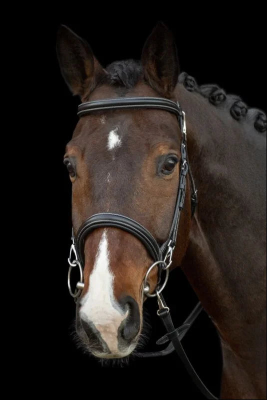 Schockemohle SP Dortmund Training Bridle