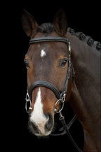 Schockemohle SP Dortmund Training Bridle