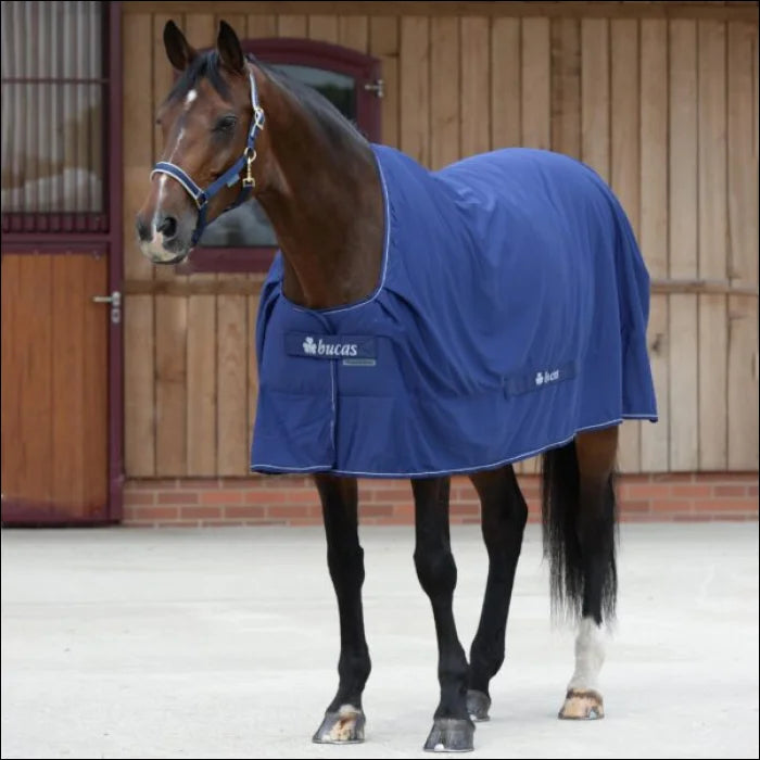 Shamrock Power Rug - Navy