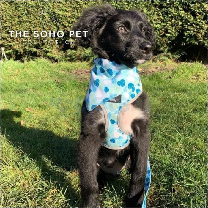 Soho Reversible Dog Harness