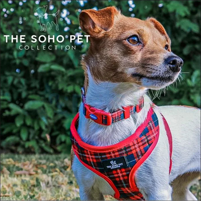 Soho Reversible Dog Harness