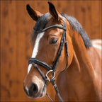 Sprenger Dynamic RS Eggbutt 14mm Double Jointed Sensogan