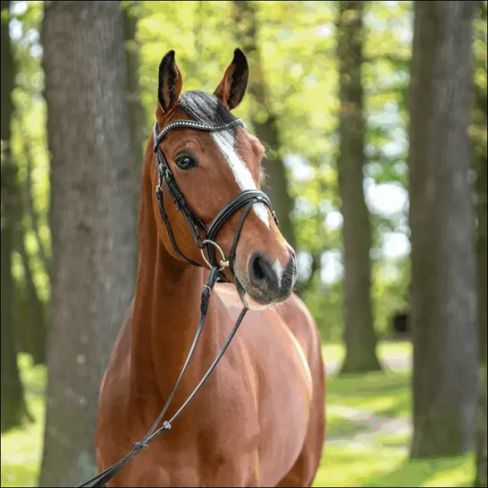 REINSMAN Stage A Traditional Loose Ring Snaffle 3 REINSMAN Stage A Traditional Loose Ring Snaffle 3