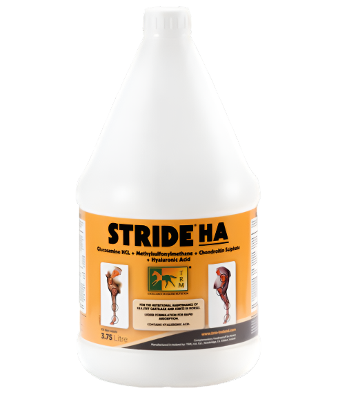 Stride HA | A Fast Acting Liquid Mobility Supplement