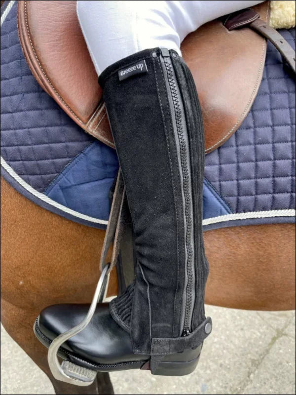 Suede Half Chaps (Reinforced) - Adult Black