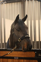 Tesoro Fleece/Nylon Headcollar Black/Gold