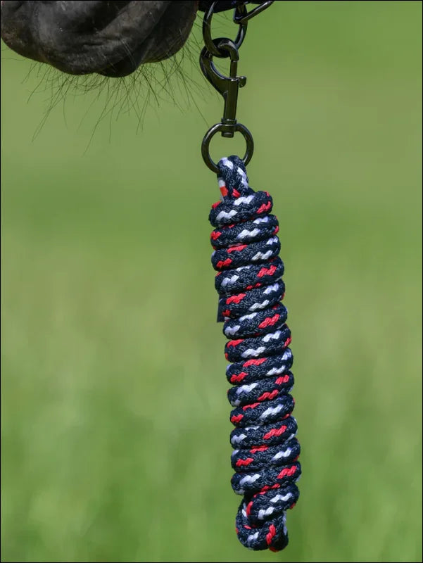 TH Yale Set Halter Rope Desert Sky