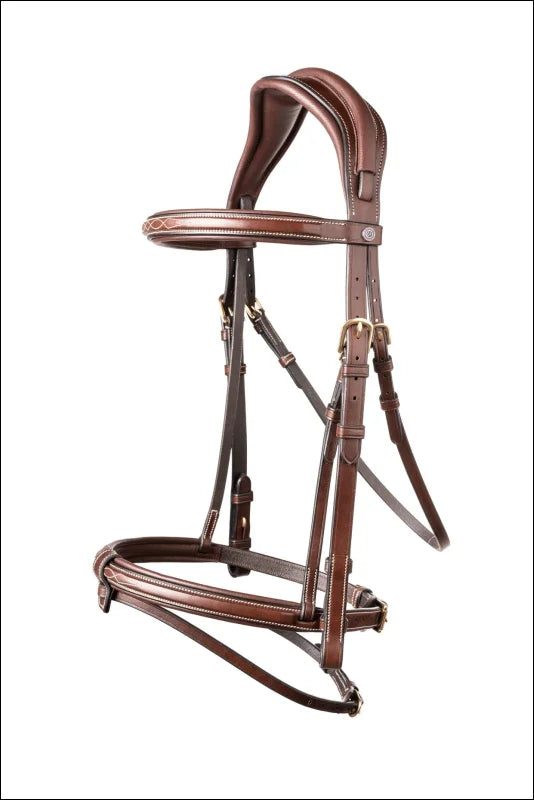 Trust Geneva Combined Noseband Bridle Brown/Silver