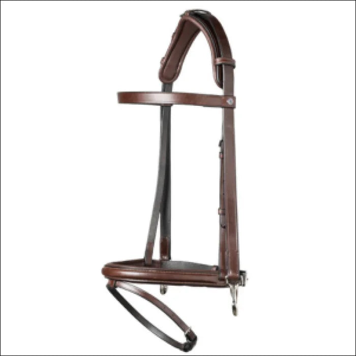 Trust Hamburg Training Bridle with Rubber Reins