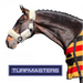 Turfmaster Teddy Headcollar - Foal / White