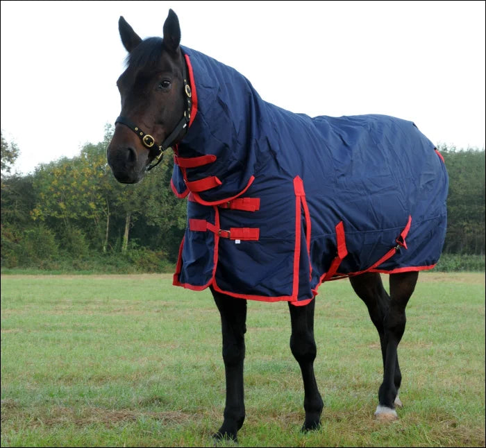 TRI Arkle Full Neck Medium Weight Turnout Rug - 200g