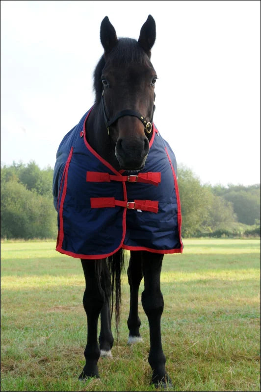 TRI Arkle Standard Neck Medium Weight Turnout Rug - 200g