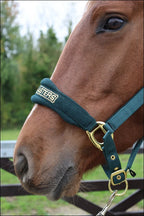 Turfmasters Fleece/Nylon Headcollar Green/Gold