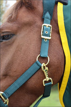 Turfmasters Fleece/Nylon Headcollar Green/Gold