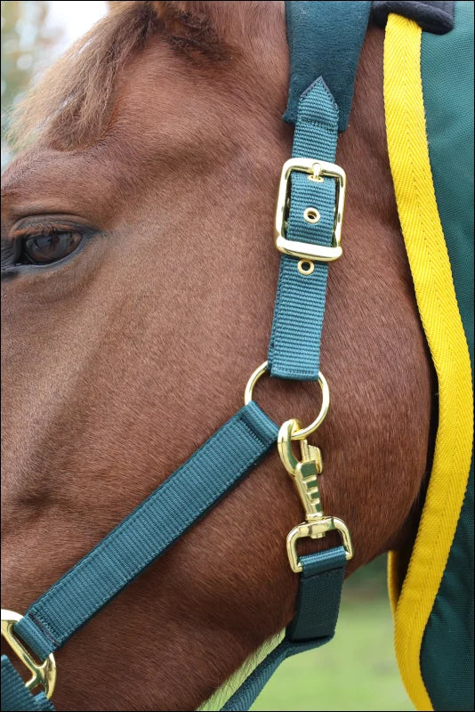 Turfmasters Fleece/Nylon Headcollar Green/Gold