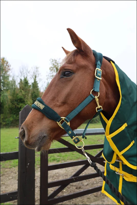 Turfmasters Fleece/Nylon Headcollar Green/Gold