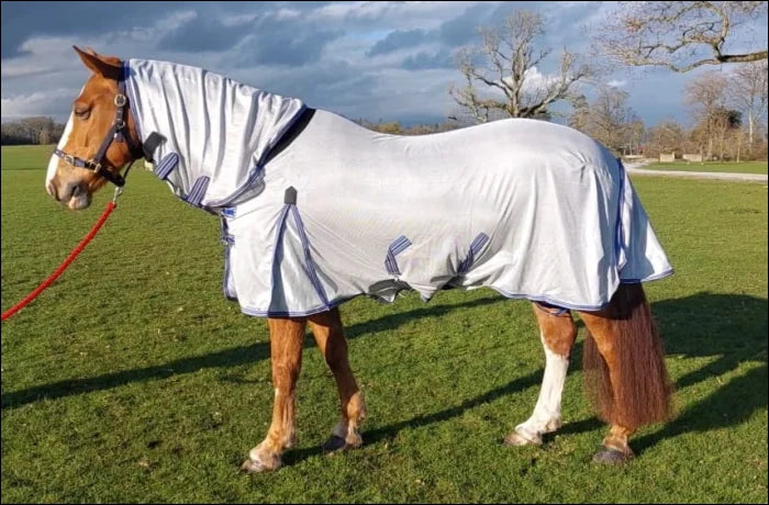 Turfmasters Full Neck Fly Rug