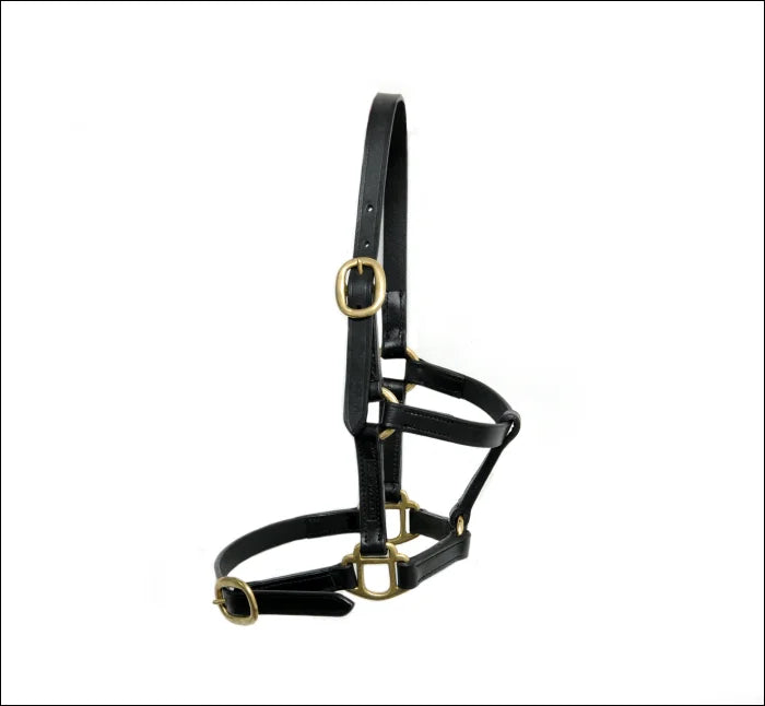 Turfmasters Leather Halter / Headcollar - Foal 2
