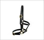 Turfmasters Leather Halter / Headcollar - Foal 2