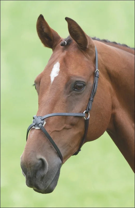 Turfmasters Mexican Noseband - Cob / Black