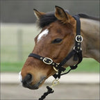 Turfmasters Nylon Headcollar / Halter – Foal & Weanling