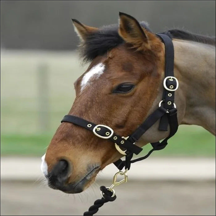 Turfmasters Nylon Headcollar / Halter – Foal & Weanling