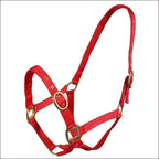 Turfmasters Nylon Headcollar / Halter Pony Cob & Full