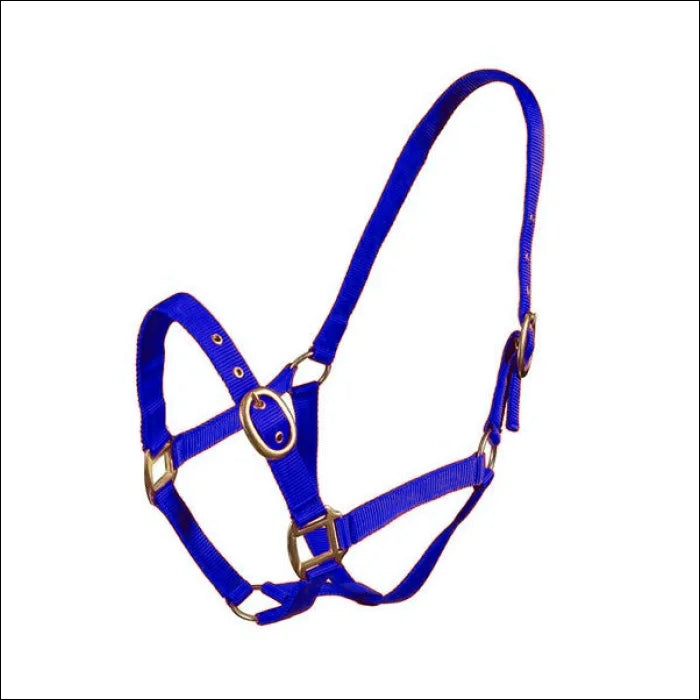 Turfmasters Nylon Headcollar / Halter Pony Cob & Full